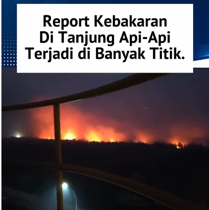 Kebakaran Hutan di Tanjung Api Api, terjadi di beberapa titik Krusial!
